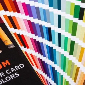 Belton Premium Real Color Card