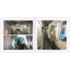 Abused Beloved Metros